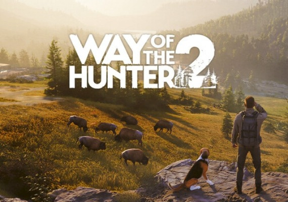 Way Of The Hunter 2 digital game key