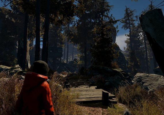 Through the Woods Collector's Edition EN/DE/FR/IT/NO/RU/ES Global screenshot 4