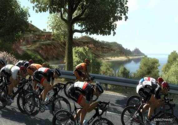 Pro Cycling Manager 2013 EN/DE/FR/IT Global screenshot 2