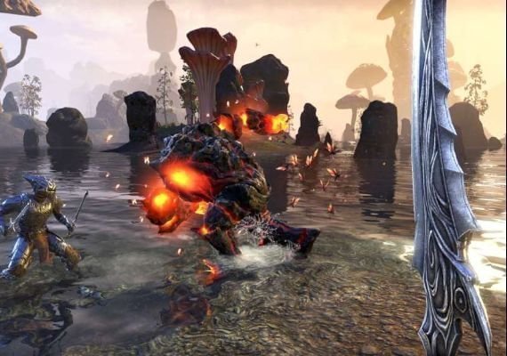 TESO The Elder Scrolls Online EN/DE/FR Argentina screenshot 3