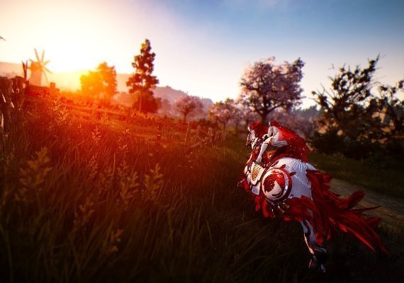 Black Desert Explorer Edition EN/DE/FR/ES Argentina screenshot 3