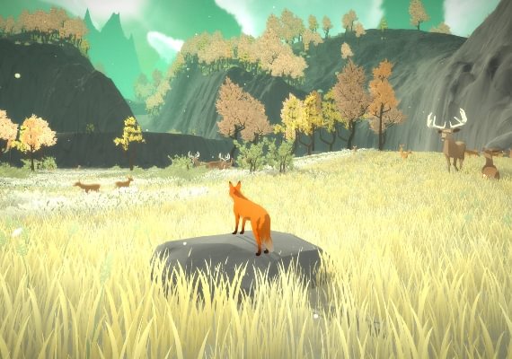 The First Tree Global screenshot 4