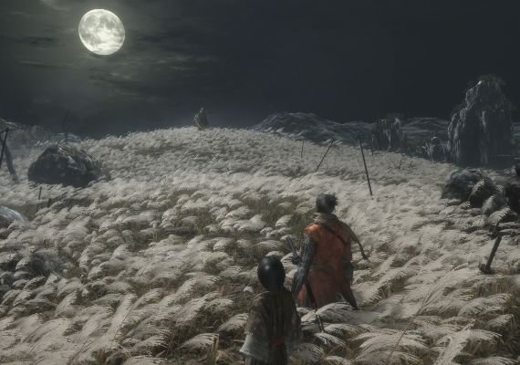 Sekiro: Shadows Die Twice EN Global screenshot 3