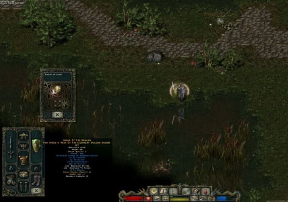 Divine Divinity EN/DE/FR/RU EU screenshot 3