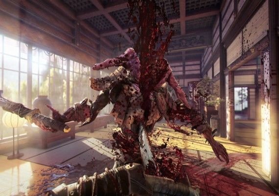 Shadow Warrior 2 EN/DE/FR/IT Latin America screenshot 3