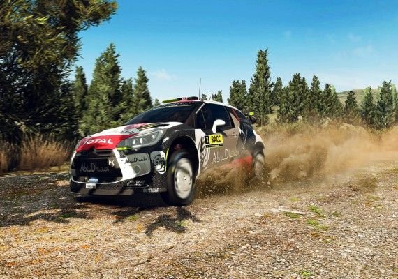 WRC 5 EN Global screenshot 4