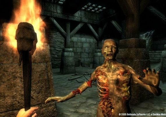 The Elder Scrolls IV: Oblivion GOTY Edition EN/DE/FR/IT/ES EU screenshot 2