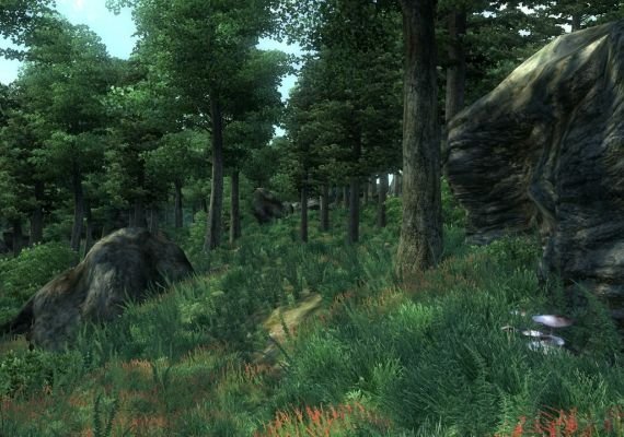 The Elder Scrolls IV: Oblivion GOTY Edition EN/DE/FR/IT/ES EU screenshot 4