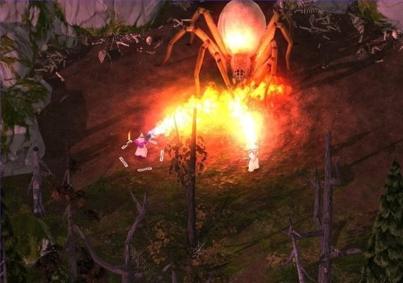 Magicka - Gamer Bundle DLC EN/RU Global screenshot 2