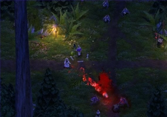 Magicka - Gamer Bundle DLC EN/RU Global screenshot 4