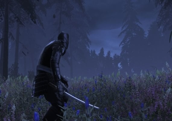 Total War: SHOGUN 2 - The Hattori Clan Pack DLC EN/DE/FR/IT/PL/CS/RU/ES Global screenshot 3