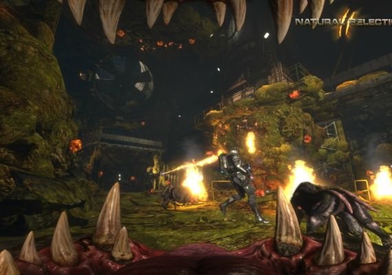 Natural Selection 2 EN/DE/FR/IT Global screenshot 2