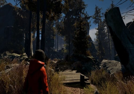 Through the Woods EN/DE/FR/IT/RU/ES Global screenshot 2