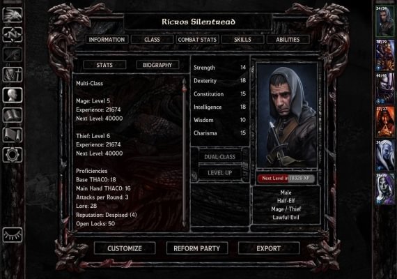 Baldur's Gate: Faces of Good and Evil DLC Global screenshot 3