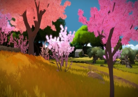 The Witness Global screenshot 3