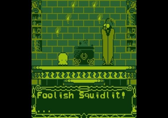 Squidlit EN Global screenshot 4