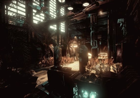 Alice VR EN/DE/FR/PL/RU/ES Global screenshot 4