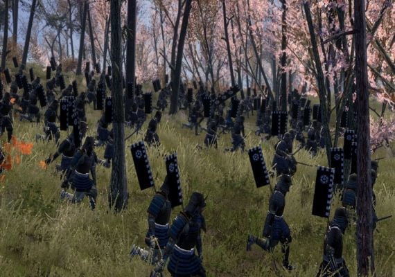 Total War: Shogun 2 DLC EN/DE/FR/IT/PL/CS/RU/ES RU/CIS screenshot 2