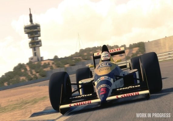 F1 2013 Global screenshot 3
