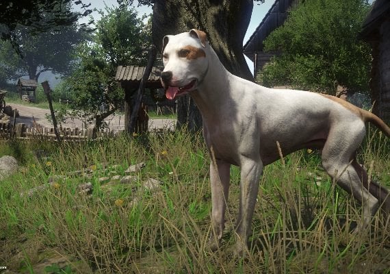 Kingdom Come: Deliverance - A Woman's Lot DLC EN/DE/FR/IT/PL/CS/RU/ES Global screenshot 3