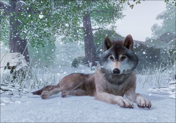 Planet Zoo EU screenshot 3