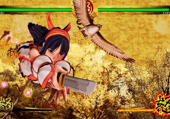 Samurai Showdown EN United States screenshot 2