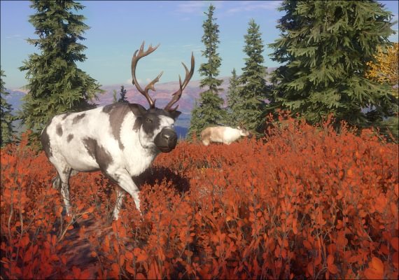 theHunter: Call of the Wild - Yukon Valley DLC EN EU screenshot 2