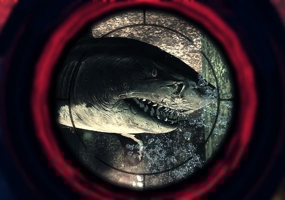 Depth Global screenshot 4