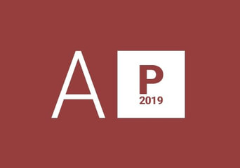 Access Professional 2019 Global MS Products
