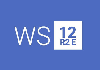 Windows Server 2012 R2 Essentials EN/DE/FR/IT/JA/RU/ZH/ES Global MS Products