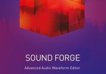 Sound Forge Audio Studio 12 EN Global Software License