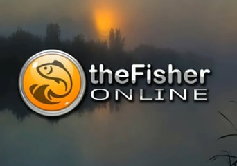 theFisher Online EU Steam Gift