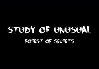 Study of Unusual: Forest of Secrets EN/RU Global Steam