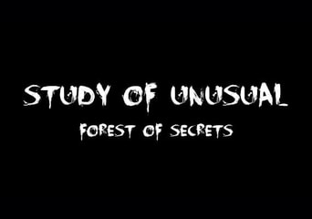 Study of Unusual: Forest of Secrets Global Steam