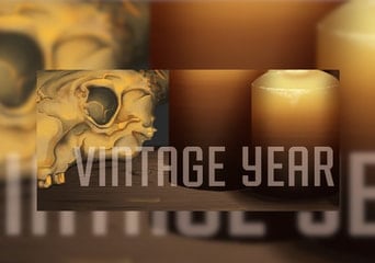 Vintage Year EN/DE/FR/IT/ES/DA Global Steam
