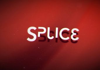 Splice EN Global Steam