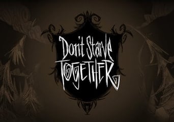 Don't Starve Together EN Global Steam Gift