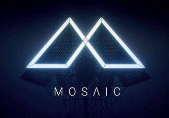 Mosaic Global Steam