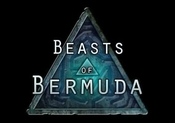 Beasts of Bermuda EN EU Steam Gift