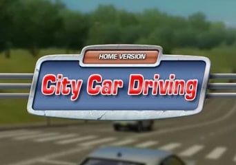 City Car Driving Global Steam Gift
