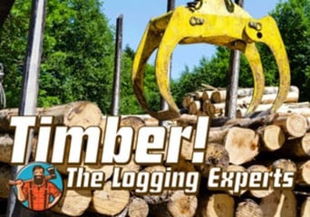 Timber! The Logging Experts EN/DE Global Steam