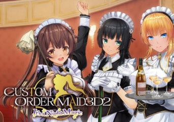 Custom Order Maid 3D2 It's a Night Magic EN EU Steam Gift