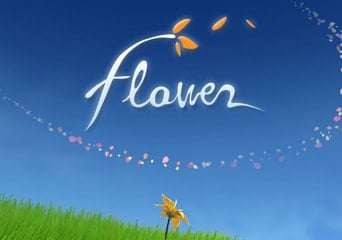 Flower EU Steam