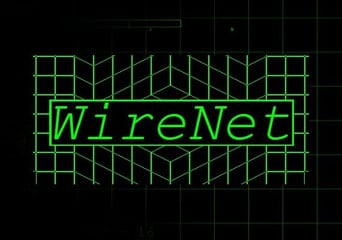 WireNet EN Global Steam