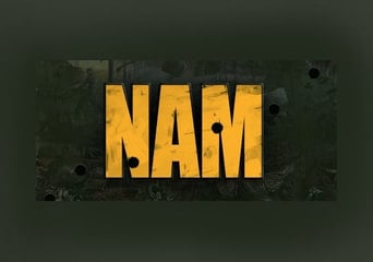 Nam EN Global Steam
