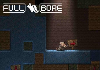 Full Bore EN Global Steam