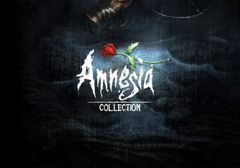 Amnesia - Collection Global Steam