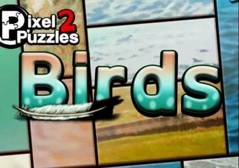 Pixel Puzzles 2: Birds EN Global Steam