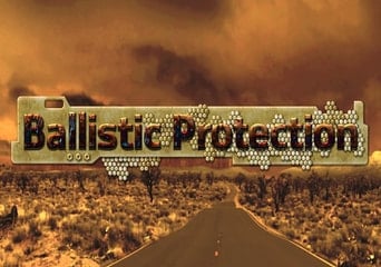 Ballistic Protection EN/RU Global Steam