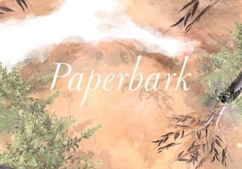 Paperbark Global Steam